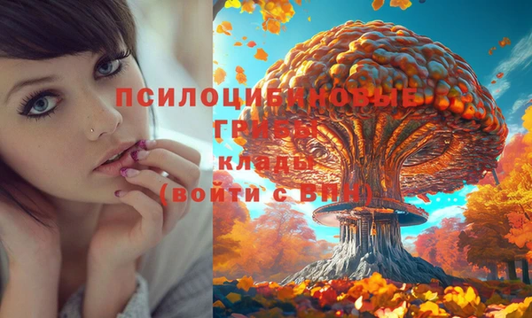 МДПВ Волосово