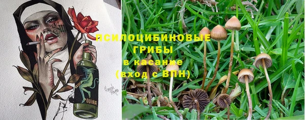 крисы Володарск