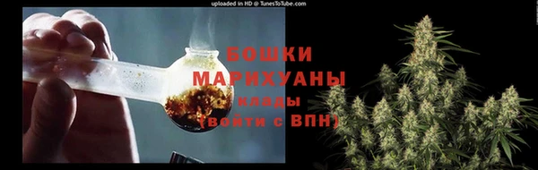 мдпв Волоколамск