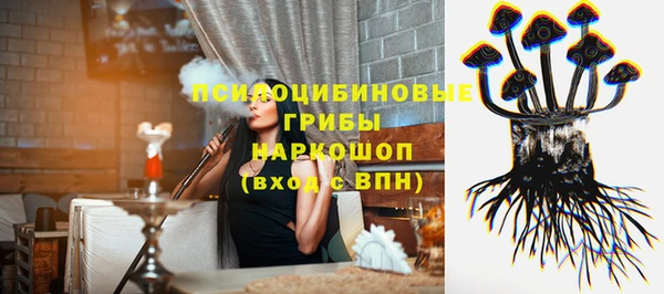 МДПВ Волосово