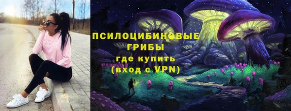 мдпв Волоколамск
