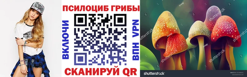 Галлюциногенные грибы Psilocybe  Купить  Скопин 